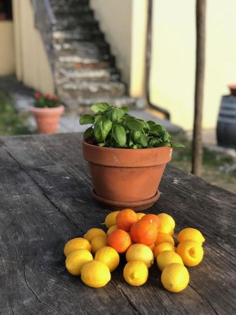 קסטיליון פיבוקי Agriturismo La Posta Reale מראה חיצוני תמונה