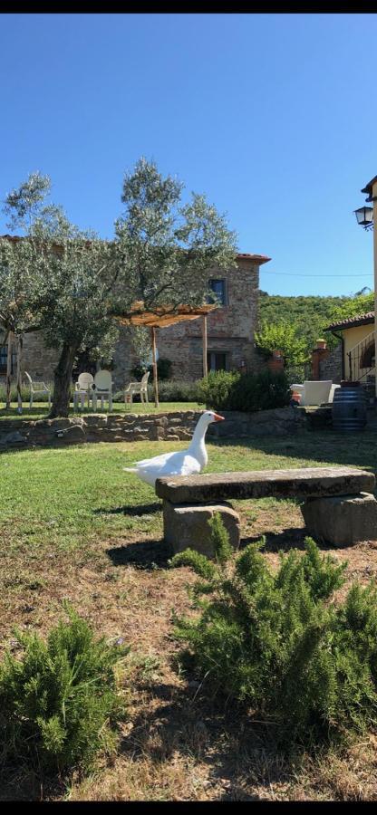 קסטיליון פיבוקי Agriturismo La Posta Reale מראה חיצוני תמונה