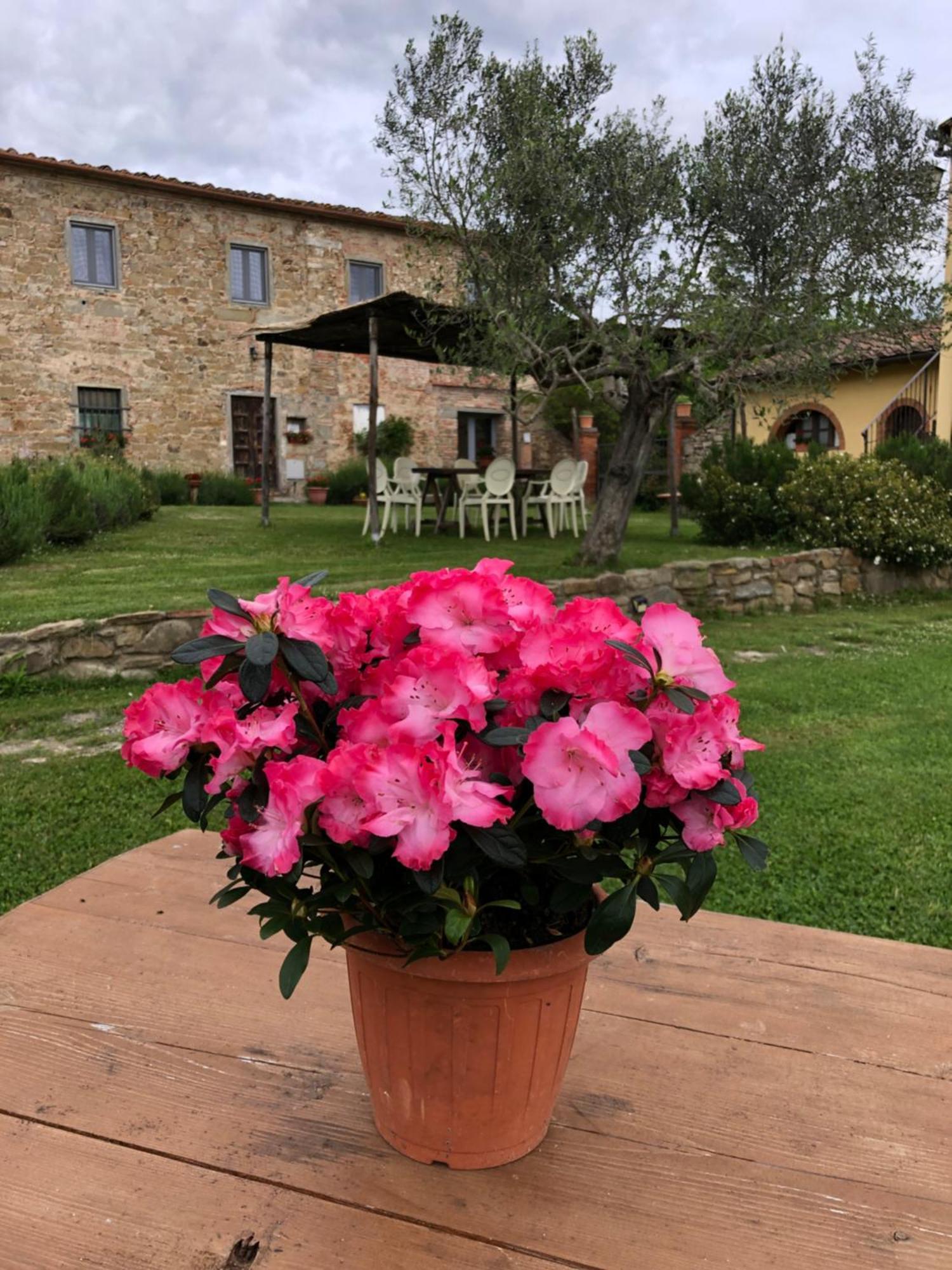 קסטיליון פיבוקי Agriturismo La Posta Reale מראה חיצוני תמונה