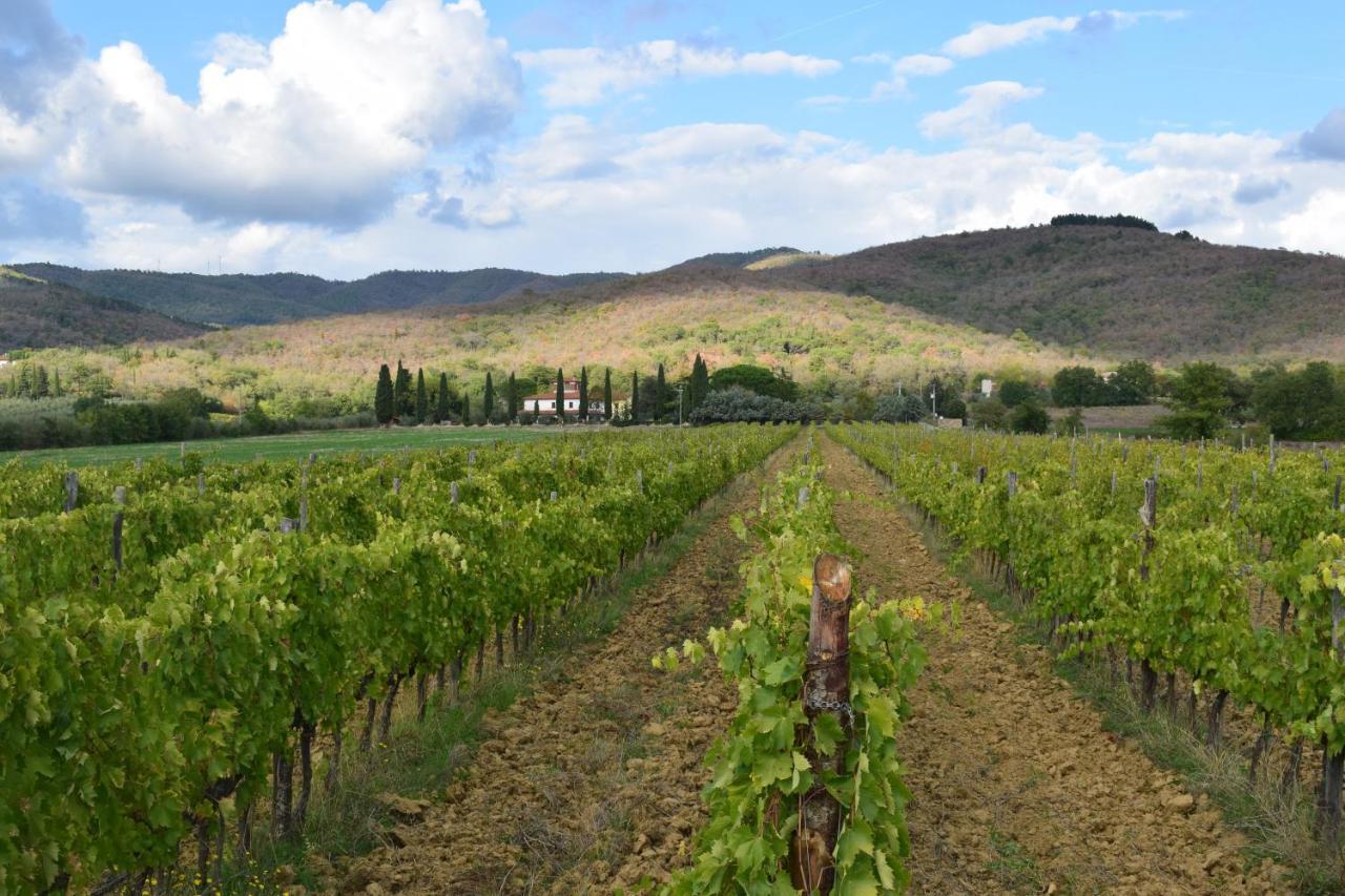 קסטיליון פיבוקי Agriturismo La Posta Reale מראה חיצוני תמונה